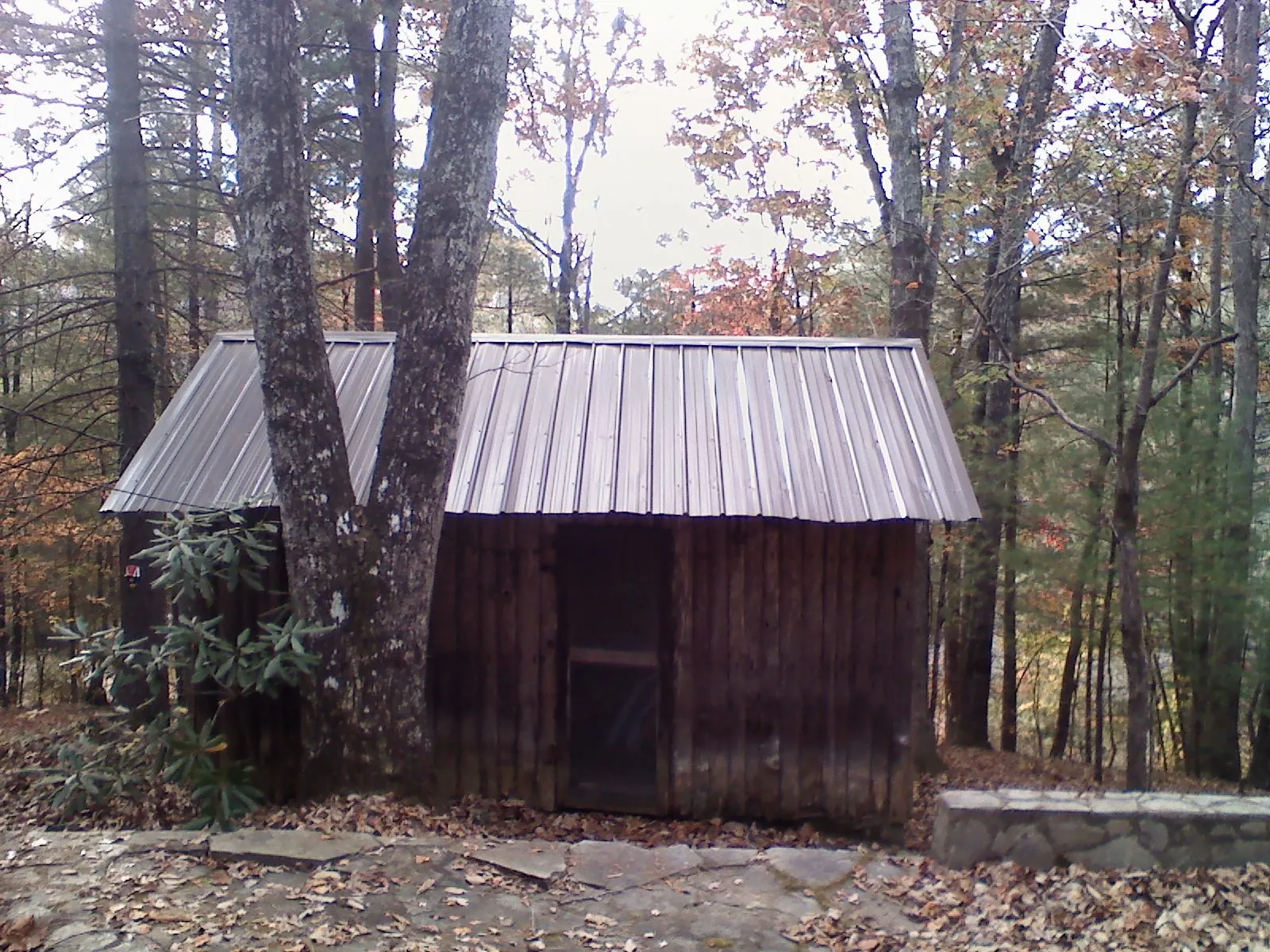 New metal gable roof on a small log shed among the trees in Ravenswood