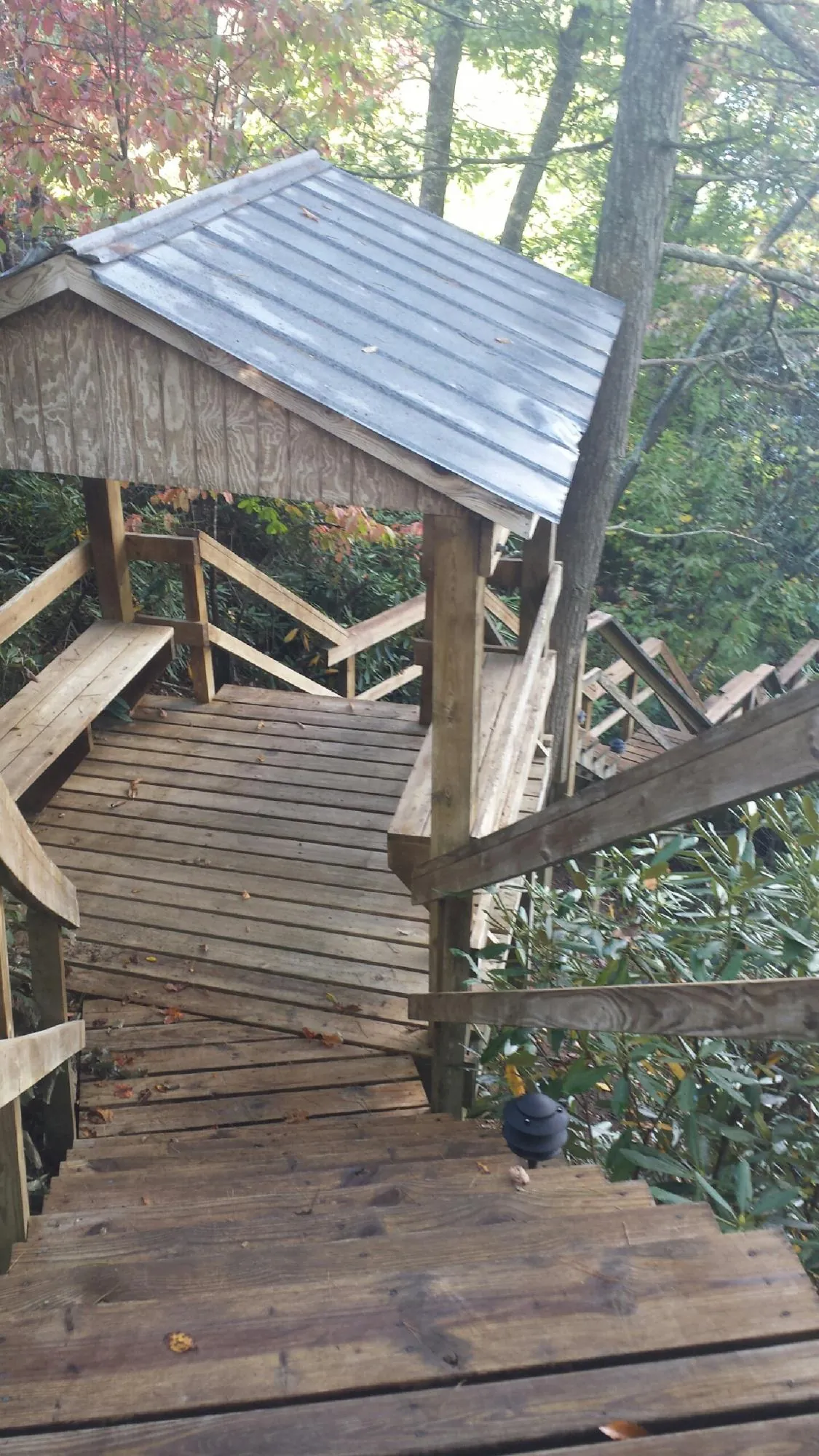 Metal roofed shelter over wooden steps on a wooded walkway — Skylight Repair & Installation work by our crew in Ravenswood
